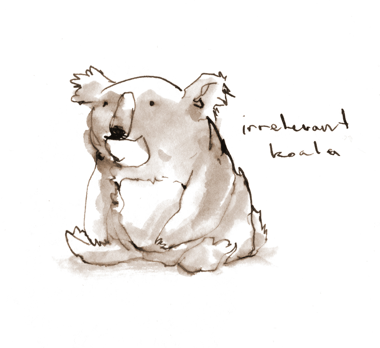 Ink drawing of a seated koala, looking rather content.