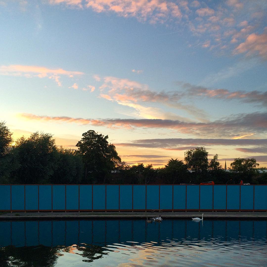 #swans #river #sunset #cambridge