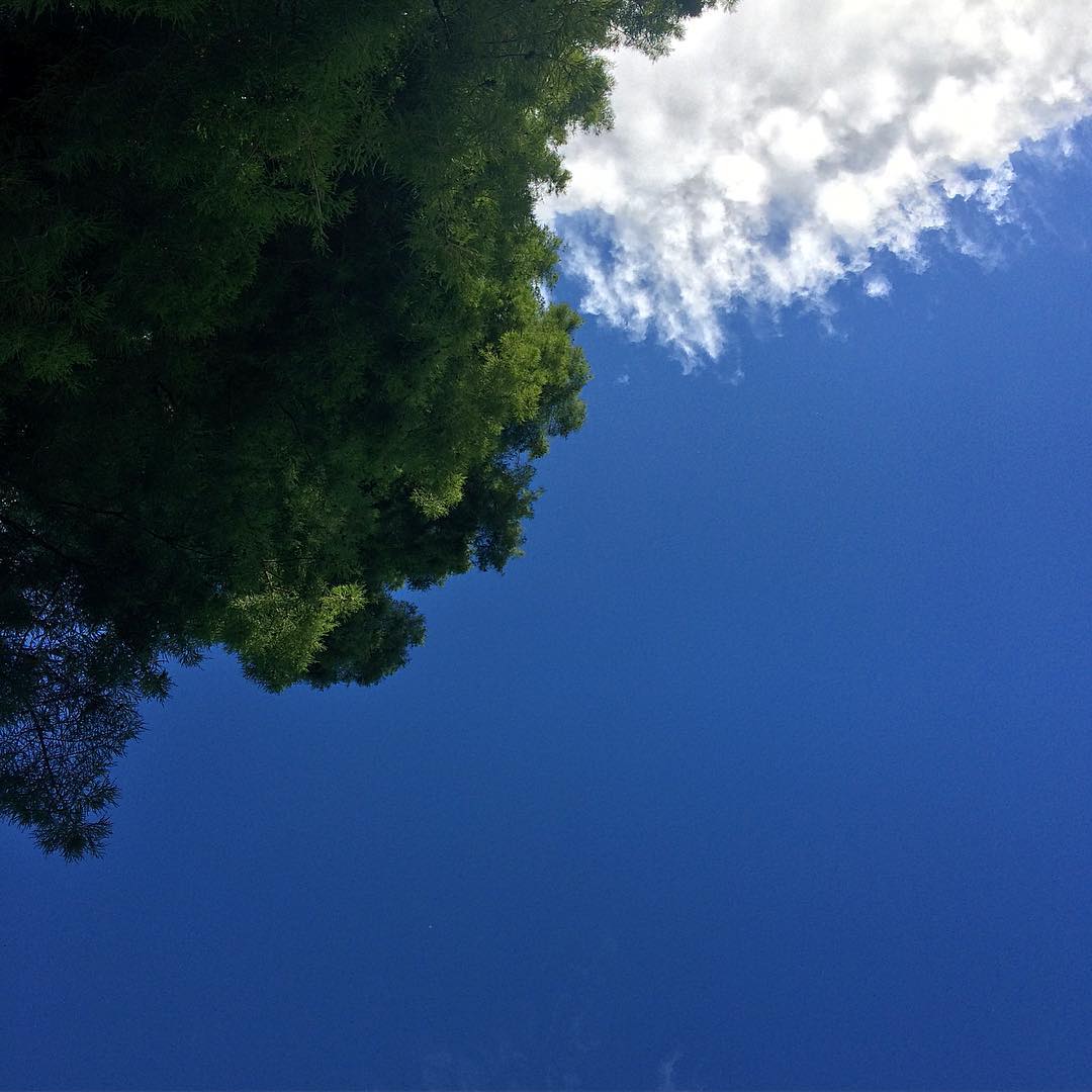 #straightup #nofilter #sky #cloud #tree #leaves