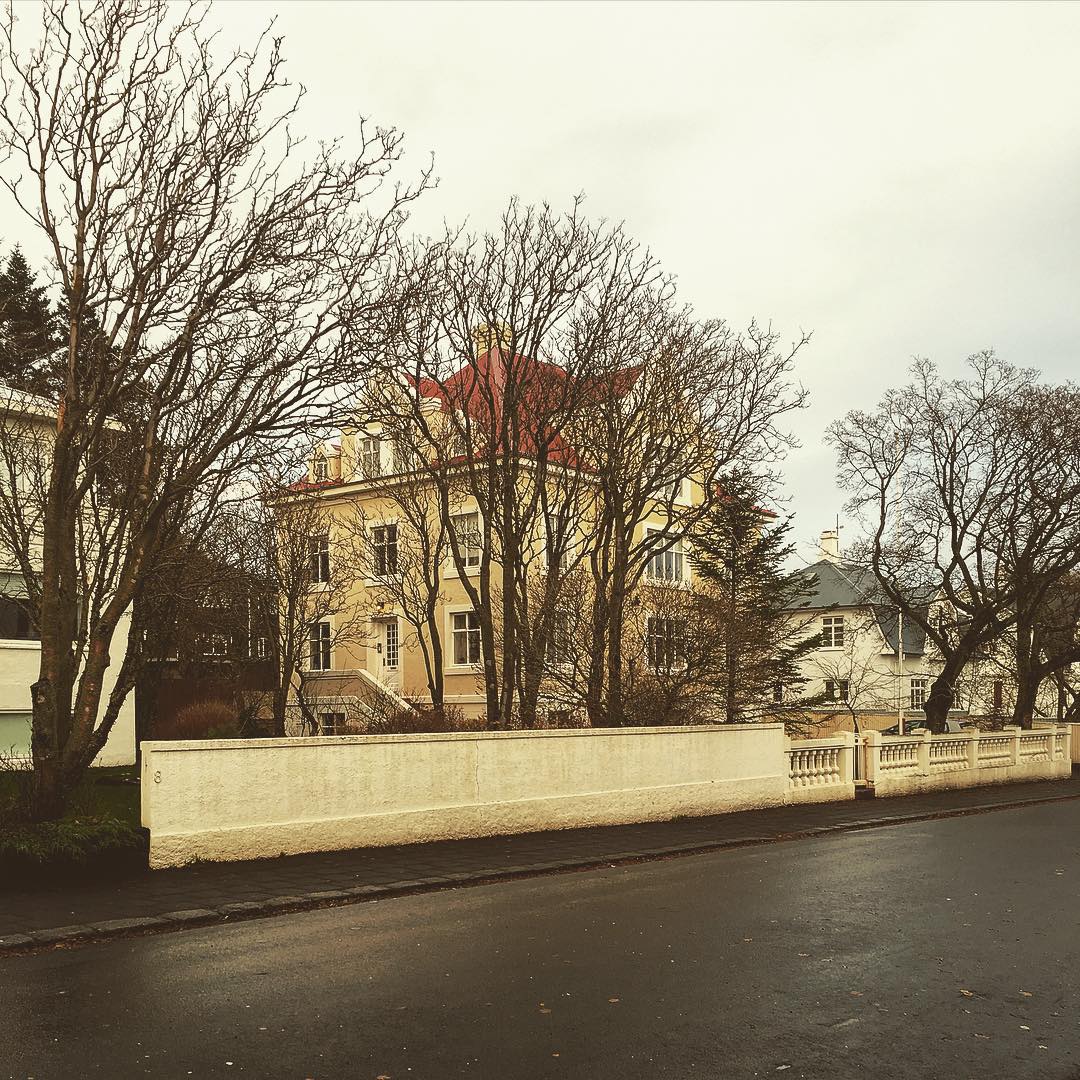 I wonder how much these cost (also I don’t want to know). #reykjavik #reykjavík #city #building #house #tree #street #road