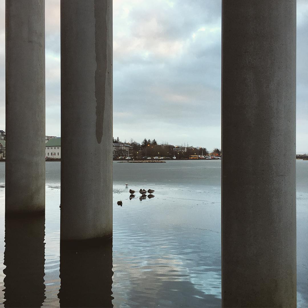 In a place we shouldn’t be, trying to catch the #ducks on the #ice. #pond #lake #water #birds #city #reykjavikurtjorn #tjorn #reykjavikurtjörn #tjörn