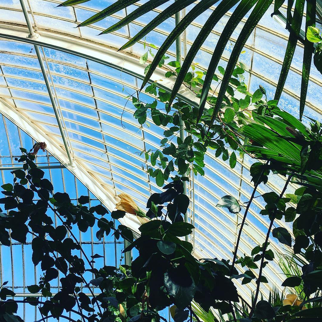 #leaves tho. #greenhouse #conservatory #plants #palms #sky #victorian #architecture #kew #garden #green #spring #blue