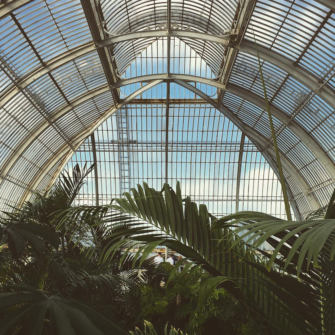 I nearly died taking this. #greenhouse