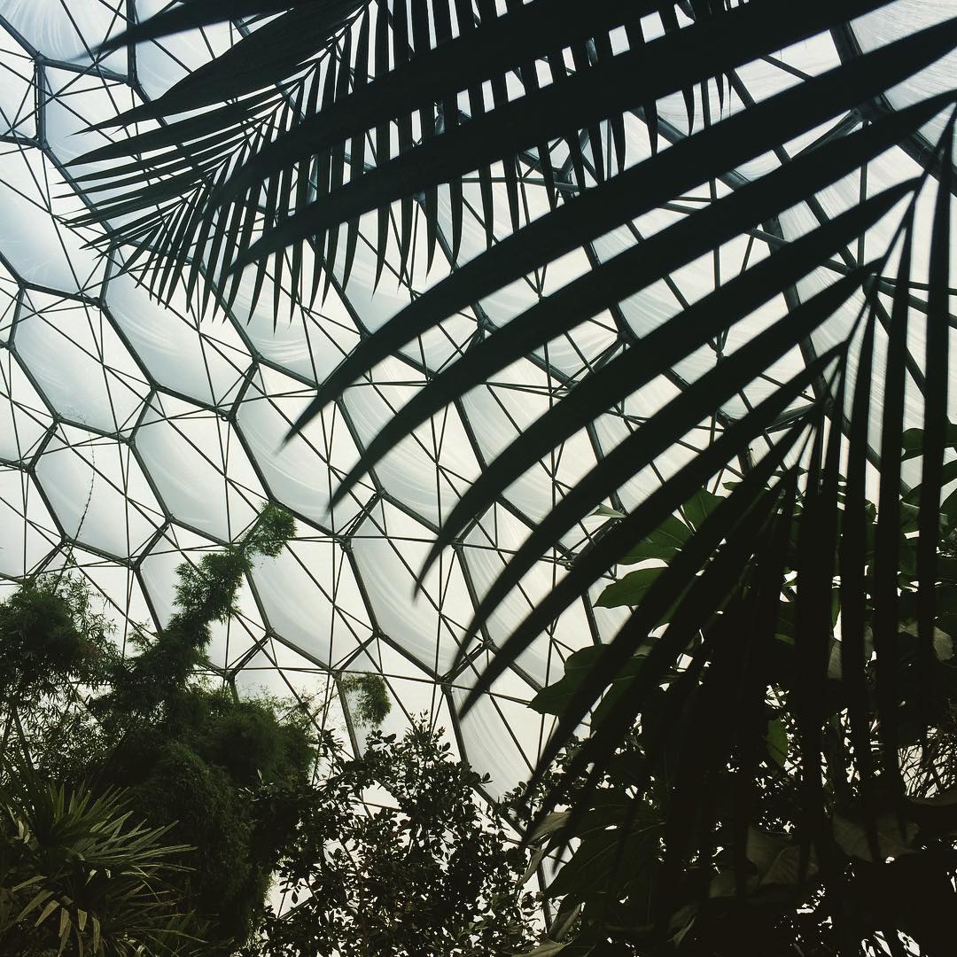 #rainforest #edenproject #cornwall