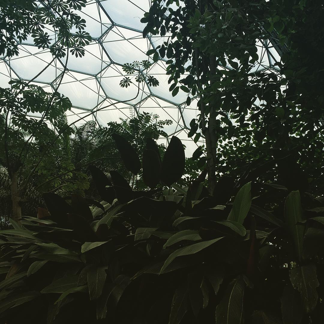 #rainforest #edenproject #cornwall